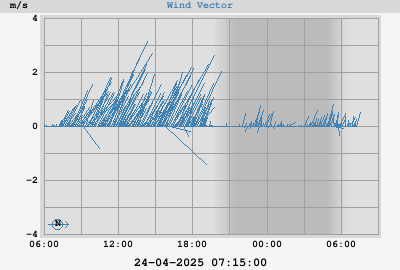 Wind Vector